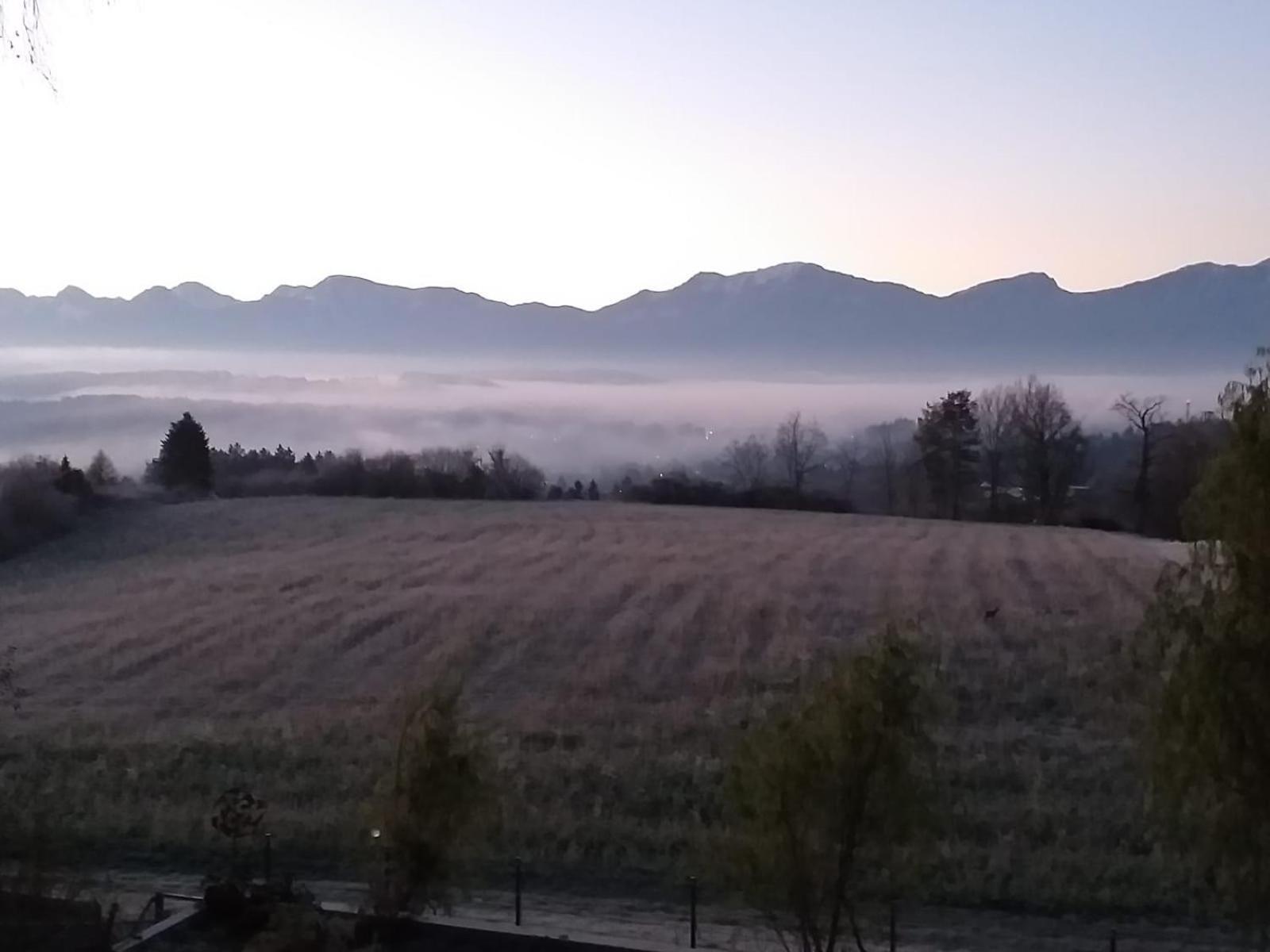 Schwalbennest Velden Daire Velden am Wörthersee Dış mekan fotoğraf